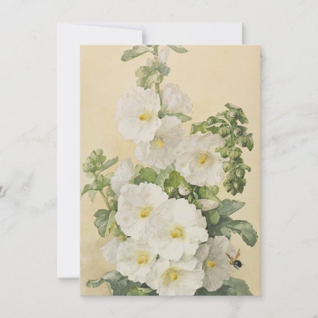 Paul De Longpre - Stockrosor 1901 Inbjudningar (Framsida)