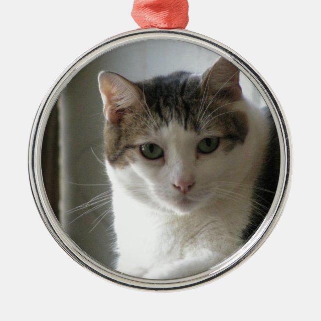 Paul Julgransprydnad Metall (Framsidan)