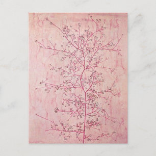 Paul Klee - Rosa vår mitt i djupaste vintern vykor Vykort