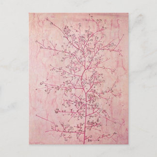 Paul Klee - Rosa vår mitt i djupaste vintern vykor Vykort