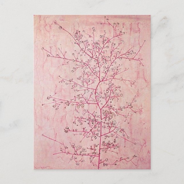 Paul Klee - Rosa vår mitt i djupaste vintern vykor Vykort (Framsida)