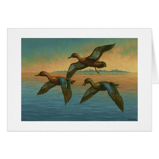Paul McGehee "Cinnamon Teal"-kort OBS Kort (Framsidan Horizontal)