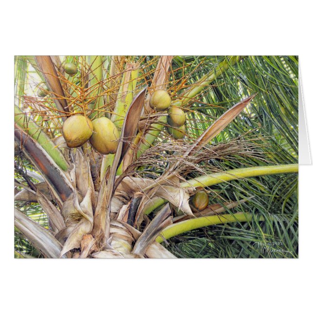 Paul McGehee Coconuts-kort OBS Kort (Framsidan Horizontal)