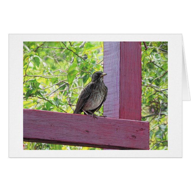 Paul McGehee "Island Visitor"-kort OBS Kort (Framsidan Horizontal)