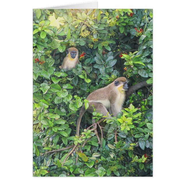 Paul McGehee "Monkeying Around"-kort OBS Kort (Framsidan)