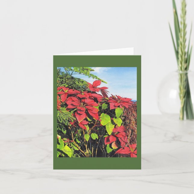 Paul McGehee "Poinsettias" Kort (Framsida)