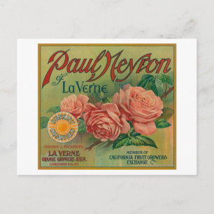 Paul Neyron of La Verne Orange Label Vykort