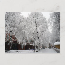Paul Revere Mall Träd täckt i Winter Snö Vykort