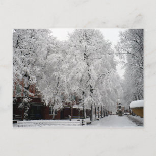 Paul Revere Mall Träd täckt i Winter Snö Vykort