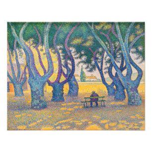Paul Signac - Place des Lices, Saint-Tropez Fototryck