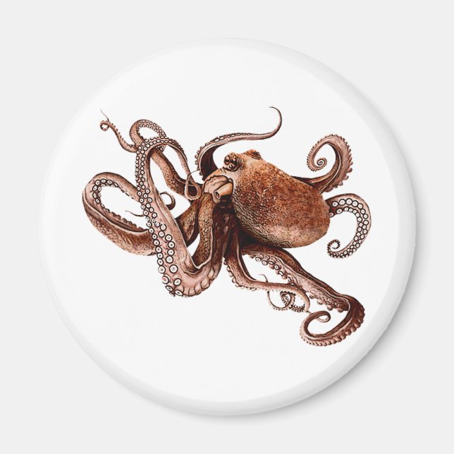 Paul The Octopus Magnet (Framsidan)