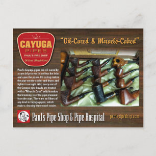 Paul's Cayuga Postcard Vykort