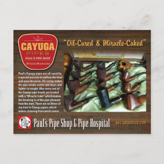 Paul's Cayuga Postcard Vykort