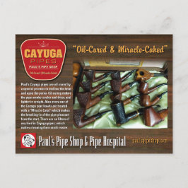 Paul's Cayuga Postcard Vykort