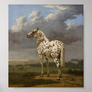 Paulus Potter - "Piebald" Horse. Vintage bild Poster
