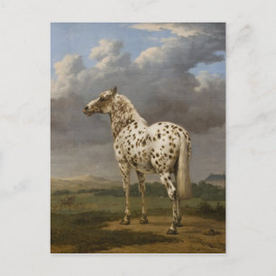 Paulus Potter - "Piebald" Horse. vintage bild Vykort