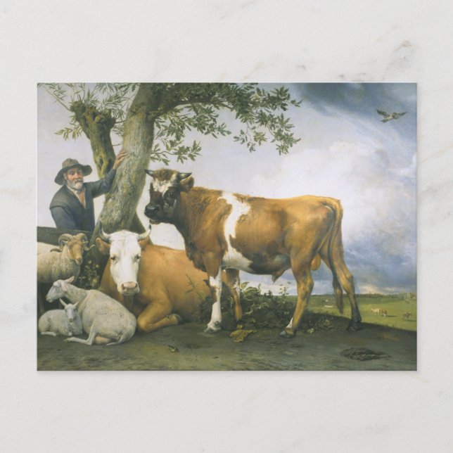 Paulus Potter Vykort (Framsida)