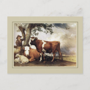 Paulus Potter, 'Young Bull' 1647 Vykort