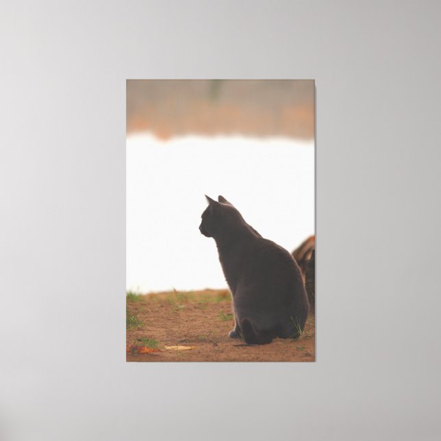 Pausa Canvastryck (Framsida)