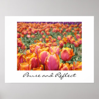 Pausa och reflektera teckningar Färgfull Tulip Flo Poster