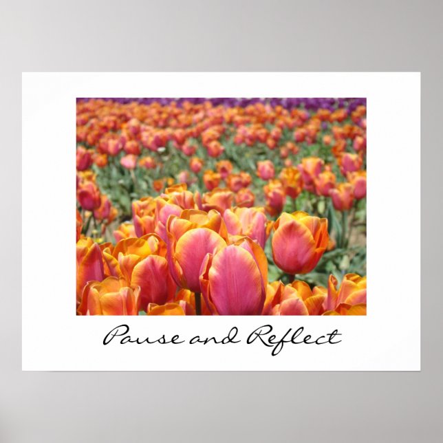 Pausa och reflektera teckningar Färgfull Tulip Flo Poster (Framsidan)