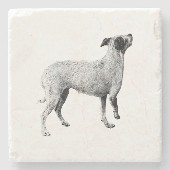 Pausa - Tittar upp Stenunderlägg (Framsidan)