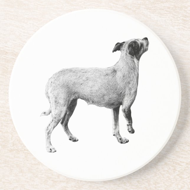 Pausa - Tittar upp Underlägg (Framsidan)