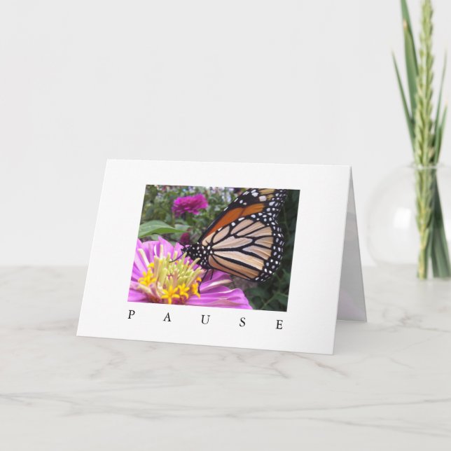 Pauskort: Monarch på Rosa Zinnia Kort (Framsida)