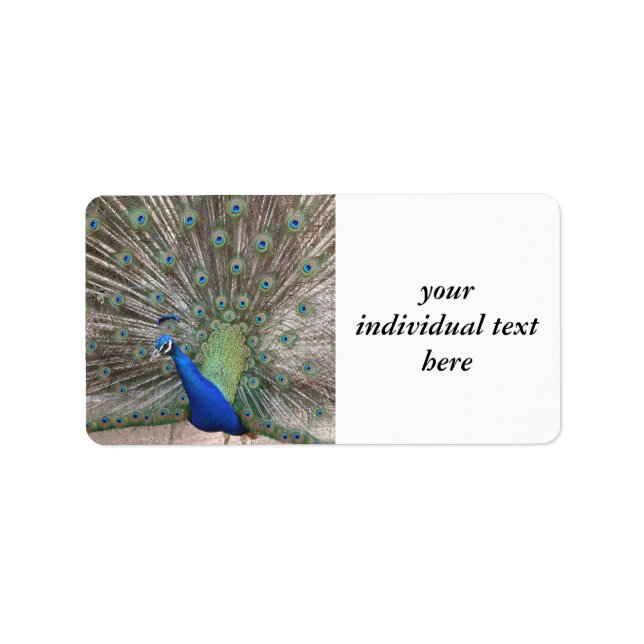 påve adressetikett (Framsidan)