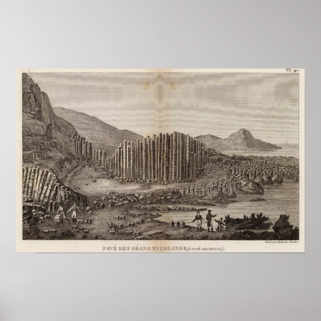 Pave des Geans en Irlande Poster (Framsidan)
