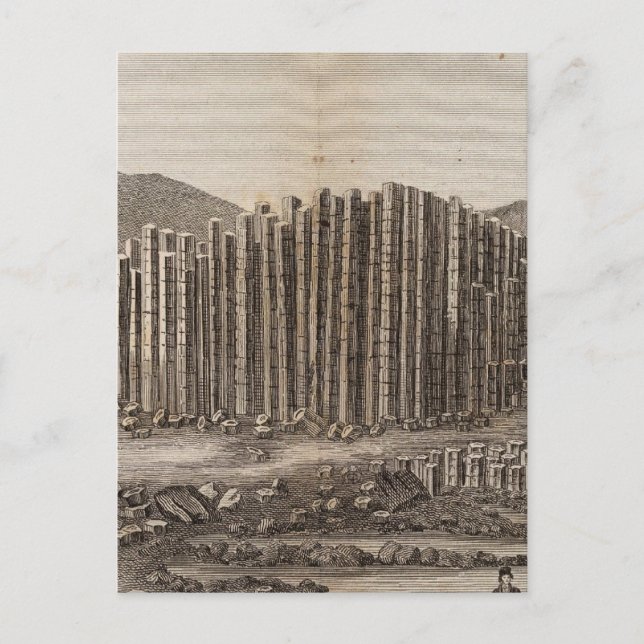 Pave des Geans en Irlande Vykort (Framsida)