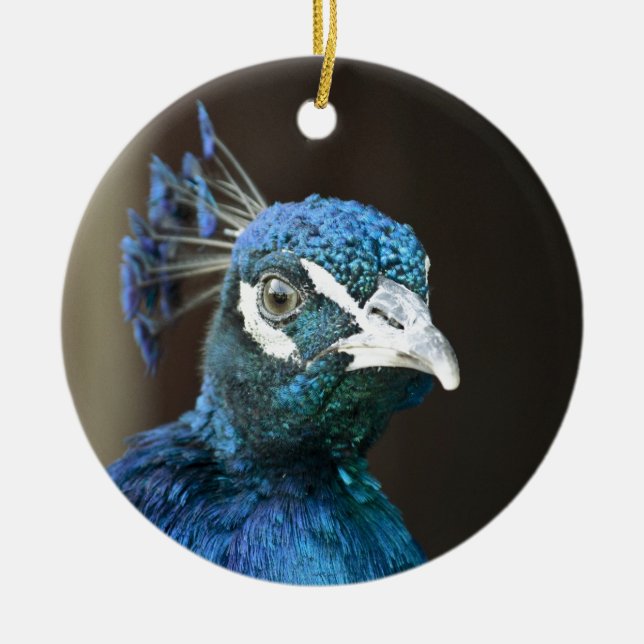 påve julgransprydnad keramik (Framsidan)