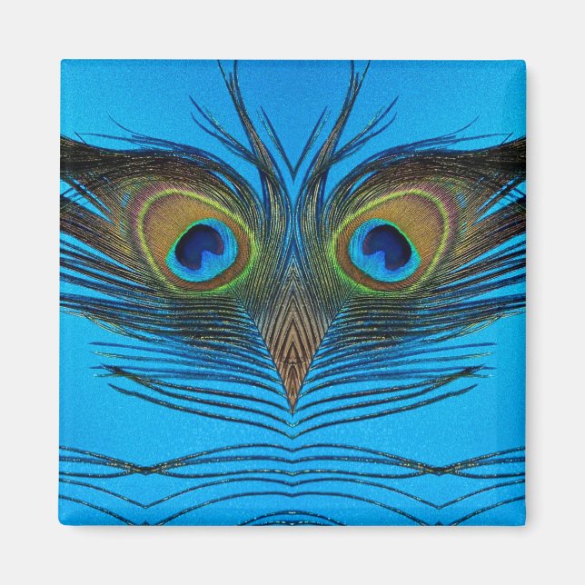 påve magnet (Framsidan)