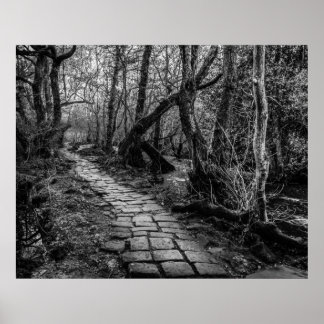 Paved Along Riverbank Poster