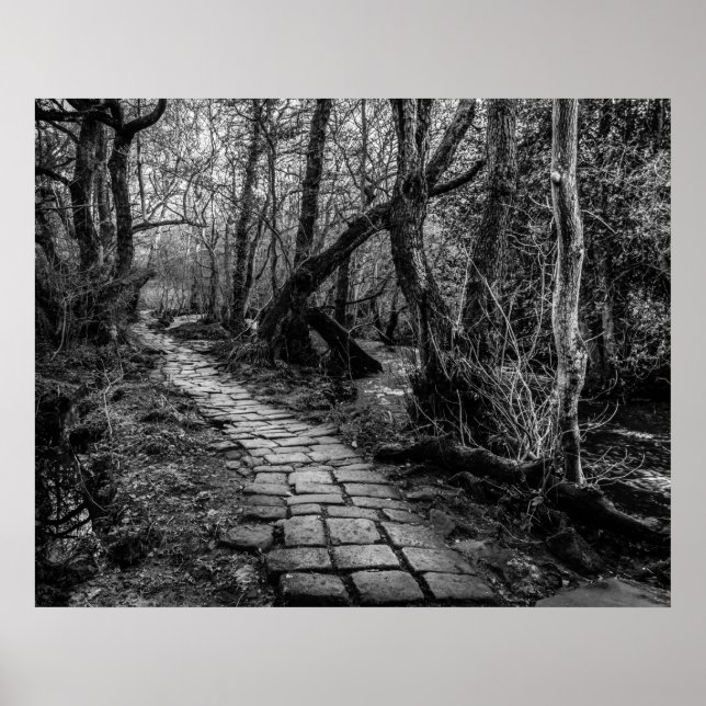 Paved Along Riverbank Poster (Framsidan)