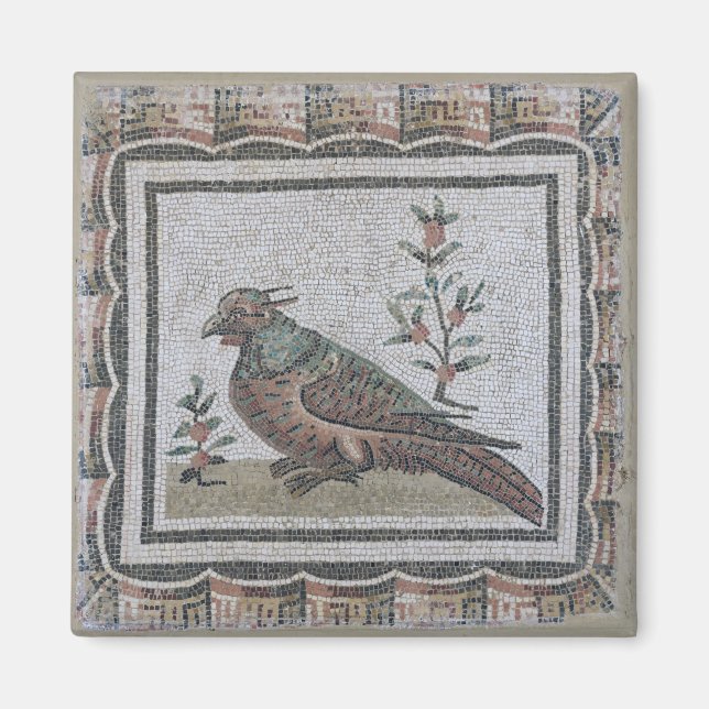 Pavement som skildrar fasan magnet (Framsidan)