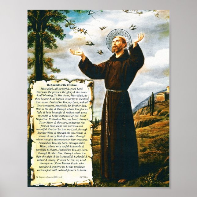 Påven Francis Canticle från Creatures St Francis Poster (Framsidan)