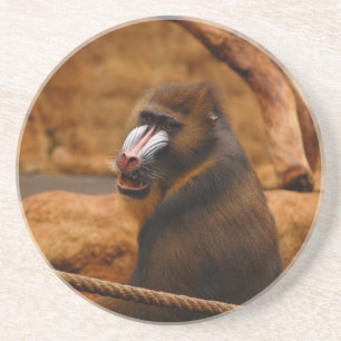 Pavian/Baboon Underlägg