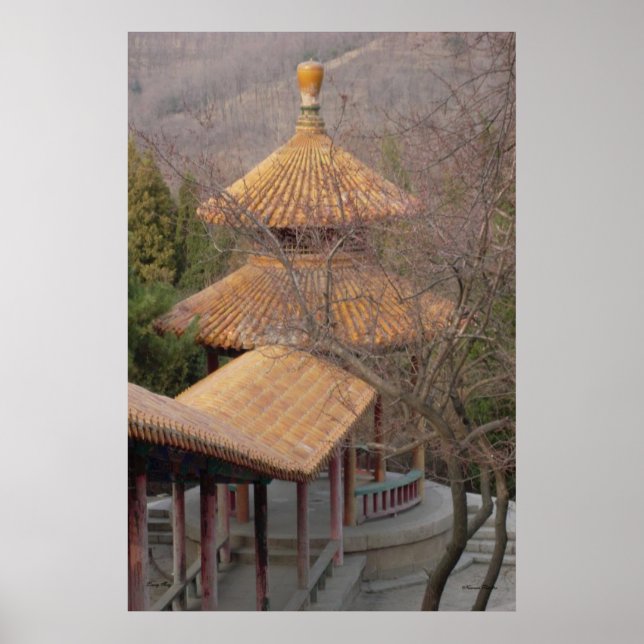 Pavilion Poster (Framsidan)