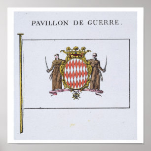 Pavillon de Guerre, specificerar från flaggor från Poster