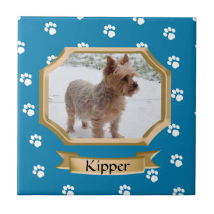 Paw Print Pet Photo Blue Kakelplatta