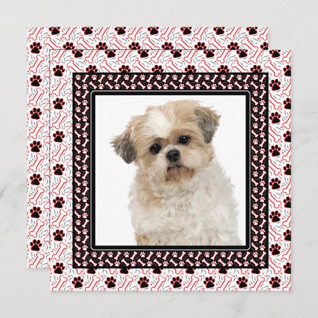 Paw-ty Hund Födelsedagsfest eller Hundträff Inbjudningar (Fram/baksida)