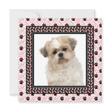 Paw-ty Hund Födelsedagsfest eller Hundträff