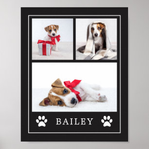 Paw-utskrift   Flerfoto Pet Hund eller Puppy Poster
