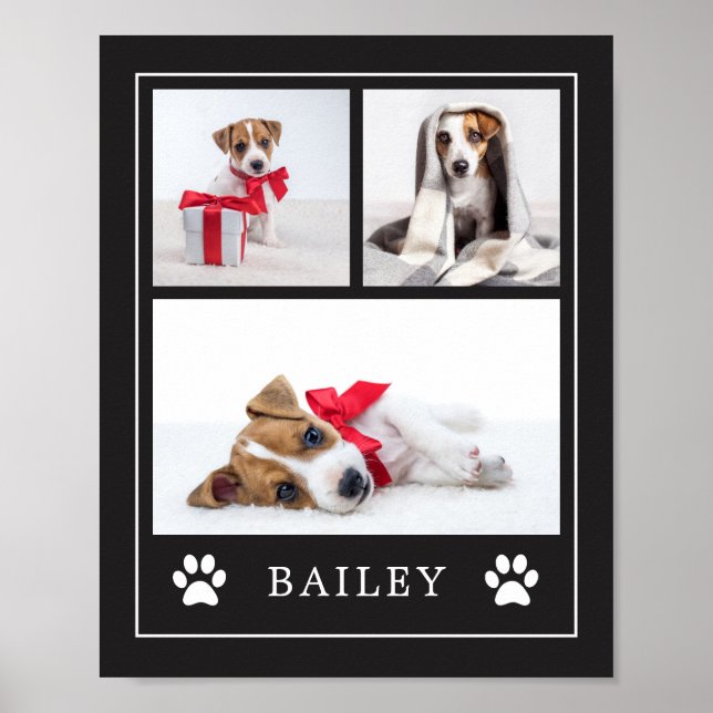 Paw-utskrift | Flerfoto Pet Hund eller Puppy Poster (Framsidan)