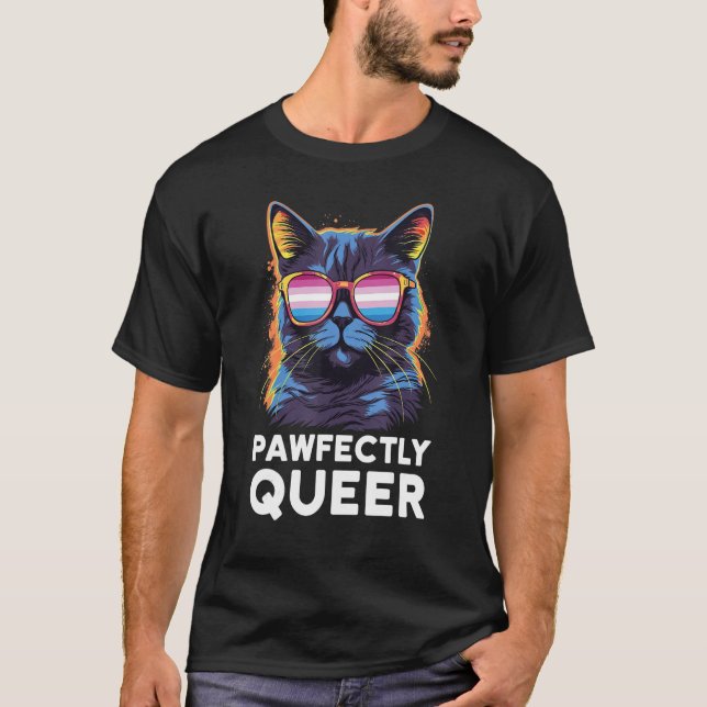 Pawfectly Queer  Cat With Sunglasses Bigender Prid T Shirt (Framsida)