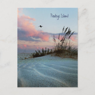 Pawleys Island Dune Sunset Postcard Vykort