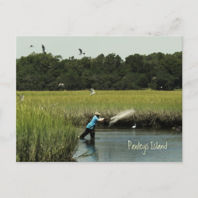 Pawleys Island Fishing Postcard Vykort (Framsida)