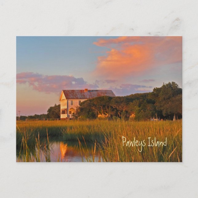 Pawleys Island Pelican Inn Postcard Vykort (Framsida)