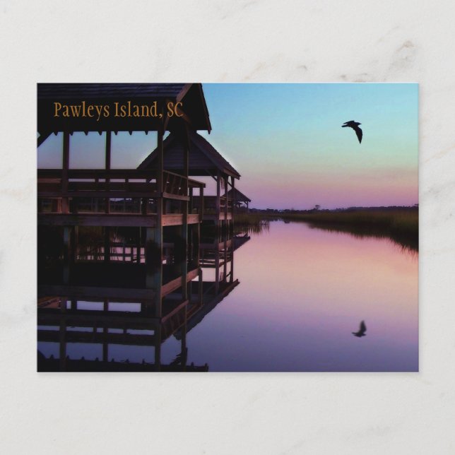 Pawleys Island Souvenir Postcard Vykort (Framsida)